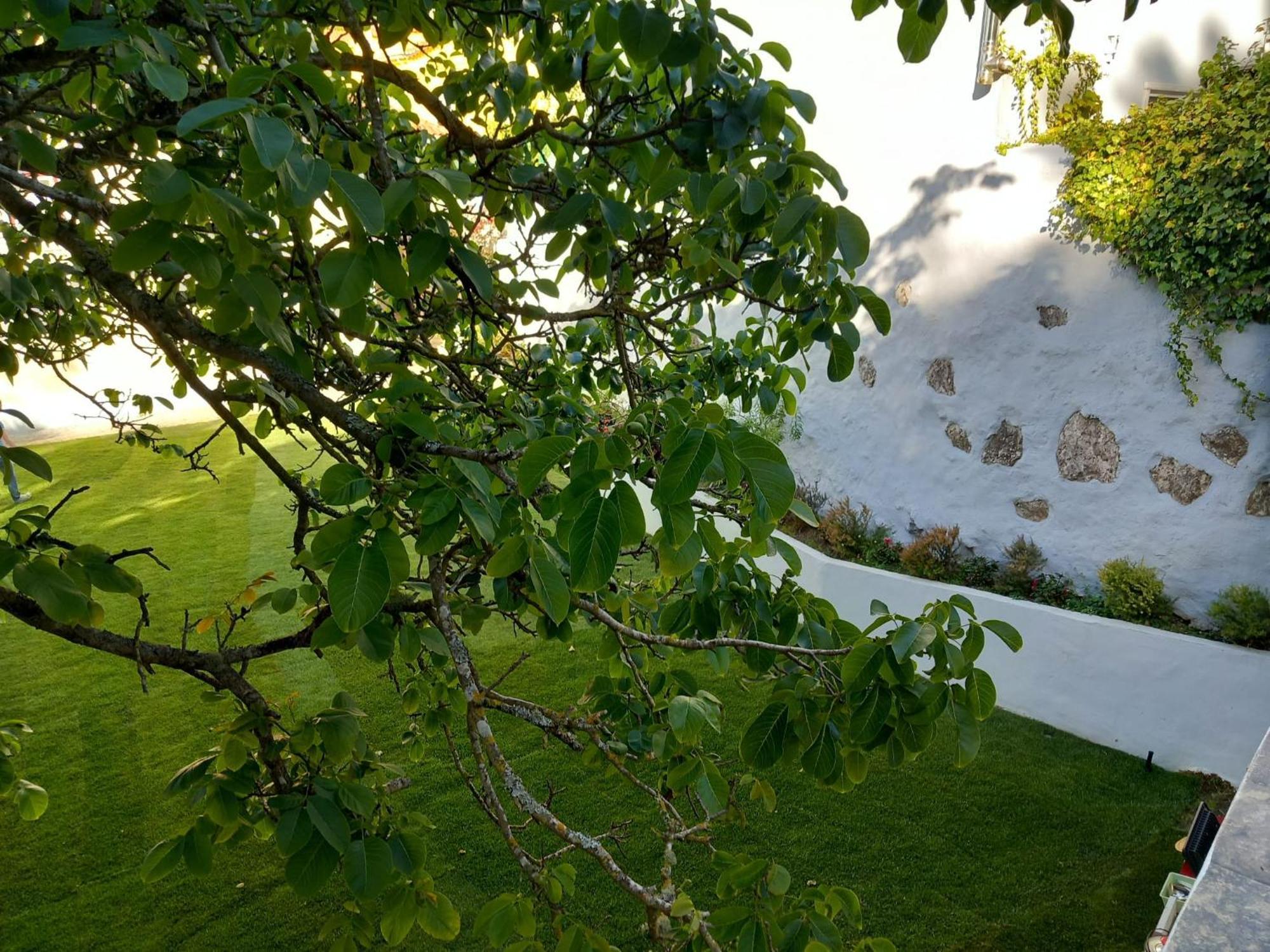 Villa In Sintra - Casa Da Penha Ferrim 外观 照片