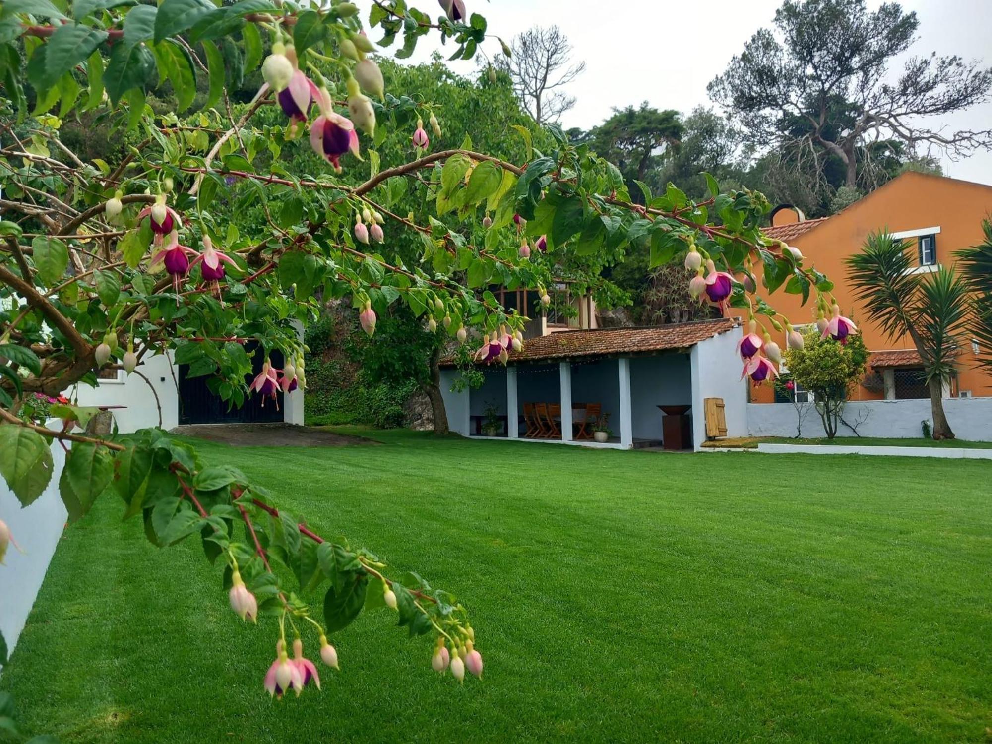 Villa In Sintra - Casa Da Penha Ferrim 外观 照片