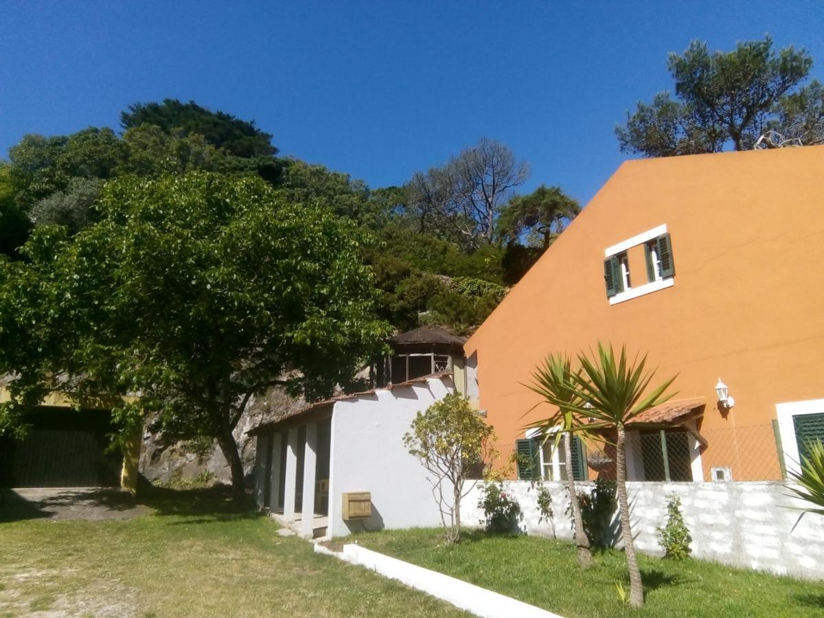 Villa In Sintra - Casa Da Penha Ferrim 外观 照片